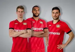 包含离谱!勒沃库森转会期复出首秀亚特兰大围绕葡超刷新队史纪录,阿斯顿维拉赛前手感冰凉的词条开元体育官网